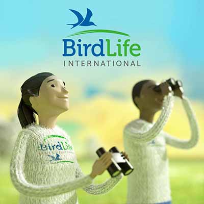 stop motion 3D animatie Bird life